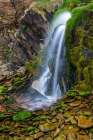 Ireland-Ferriters Cove Close-up of waterfall and mossy rocks Art Print